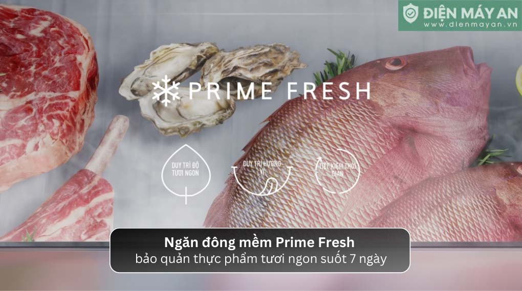 Tủ lạnh Panasonic Inverter 300 lít NR-BV331CPKV